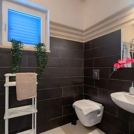 1522 فيلة Žminj